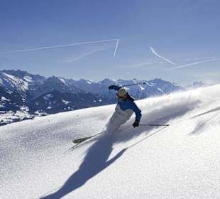 Skifahren im Pulverschnee
