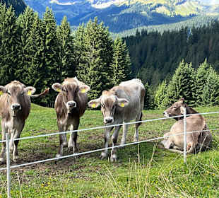 Rundwanderweg Berwang