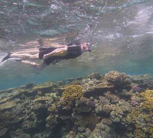 Einmalie Erlebnisse mit Mo´s Delfinen