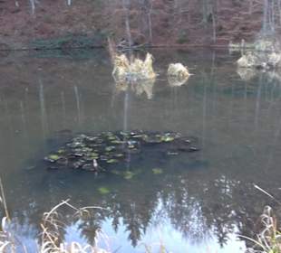 Schönbuch Schaichtal