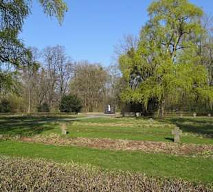 Blick über den Ehrenfriedhof