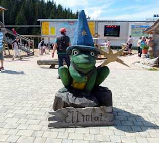 Hartkaiser - lustiger Holzfrosch