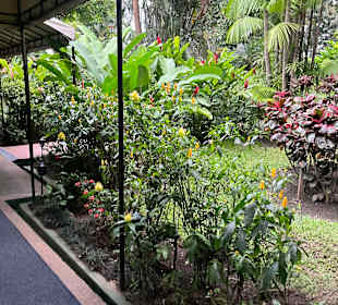 Gartenanlage