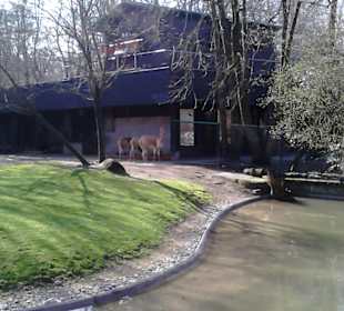 Tierpark Hellabrunn in München