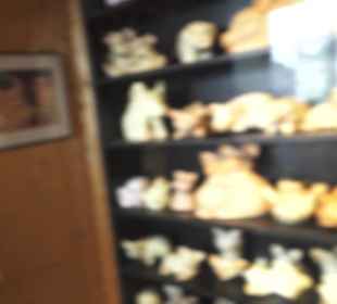 SchweineMuseum