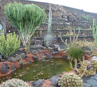 Teich mit Goldfischen