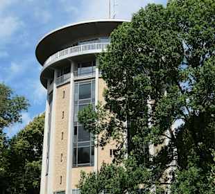 Bei einem Spaziergang auf dem Lousberg