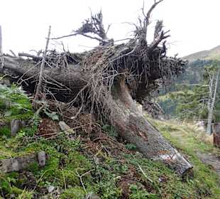 Wanderung zu Farmkehralm