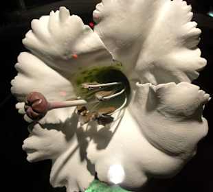 Modell einer Azaleenblüte