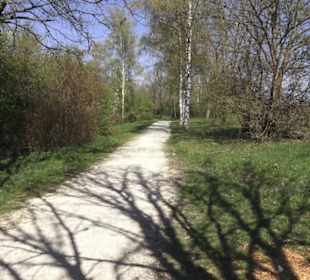 Sport- und Freizeitpark Markwasen