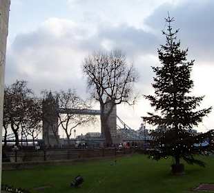 Weihnachtsdeko am Tower of London!