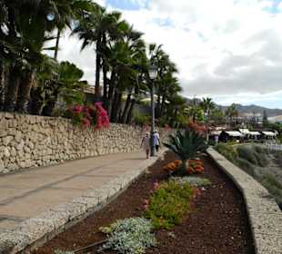 In Richtung Playa Fanabe