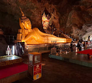 Affen Tempel 
