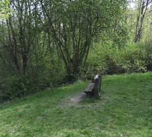 Wanderweg Hochgehwachsen