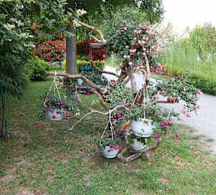 Ausflugstip Harter See