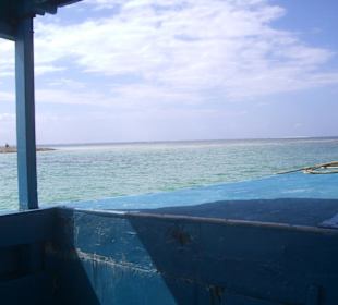Ausflug Glasbodenboot Diani Beach