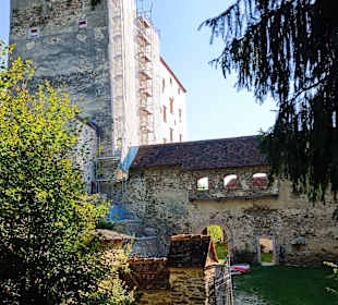 Ruine Neuhaus