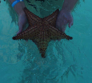Auf dem Weg zur Insel Saona, TUI Ausflug Katamaran