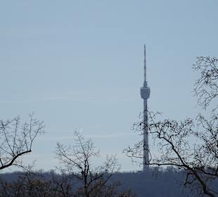 Rosensteinpark Blick zum Fernsehturm