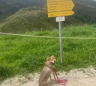Sport & Freizeit