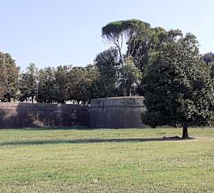 Stadtmauer Lucca