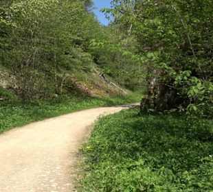 Premiumwanderweg Hochgehschätzt