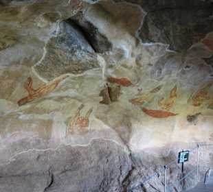Sigiriya Wolkenmädchen