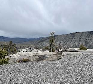 Yellowstone Nationalpark