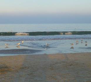 An der Ostsee Trassenheide