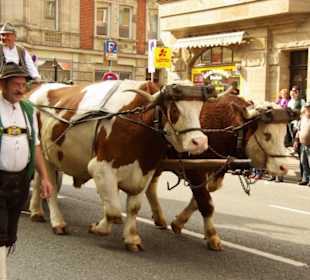 Bierführerverein Fürth