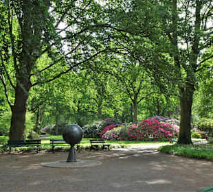 Hauptblüte im Rhododendronpark Bremen