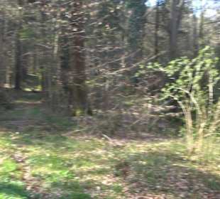 Wanderung Florianrunde