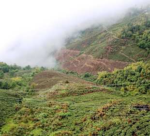 Teehaus Margaret's Deck 