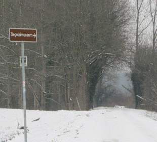 Am Rheindamm im Winter