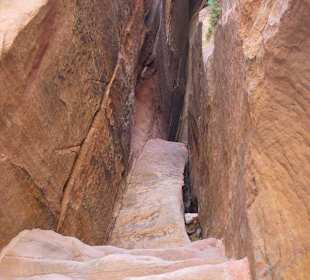 Spacer po Mieście Wykutym w Skale - Petra