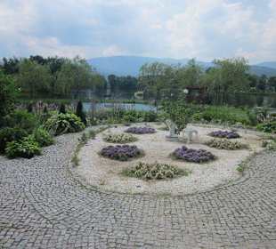 Fischteiche in Podgorzyn