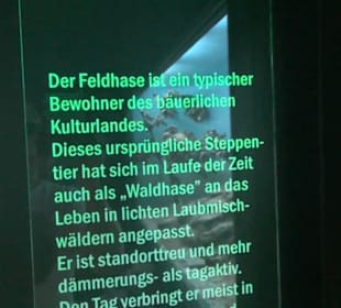 Jagdtier + Vogelkunde