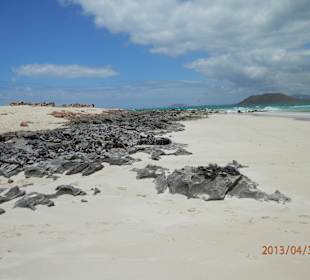 Strand im Parque Natural Corralejo