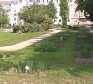 Botanischer Garten