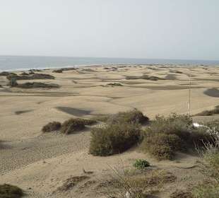 Dünen Maspalomas