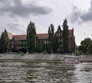 Ausblicke von der Bootstour auf der Oder