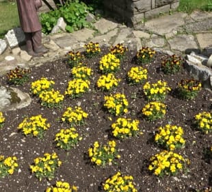 Gedenkweg der Erscheinungen der Bernadette 