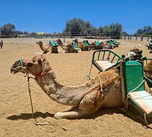 Inselrundfahrt Gran Canaria