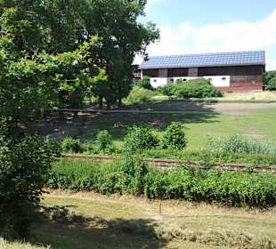 Rund um den Rottauensee