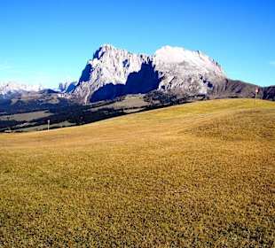 Seiser Alm mit  Langkofel