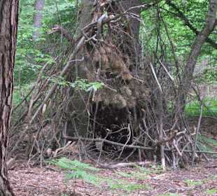 Tipi bei Handkeesfest