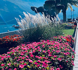 Wandern Limone