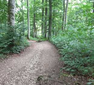 Hochgeträumt Premiumwanderung