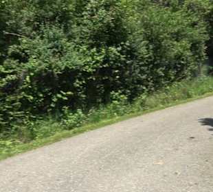 HAP Grieshaber Rundweg