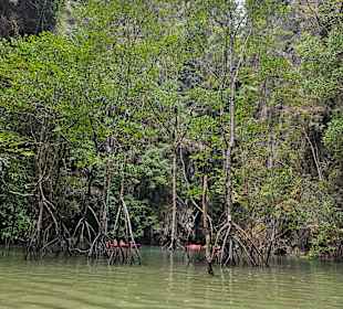 Bootstour Phang Nga